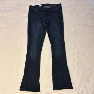 GAP Blue Flare Wide Leg Denim